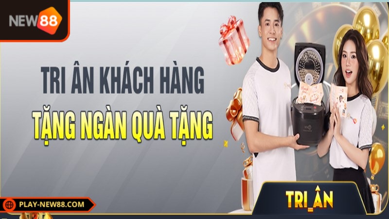 Càng chơi nhiều, khách hàng New88 càng tích lũy được nhiều điểm