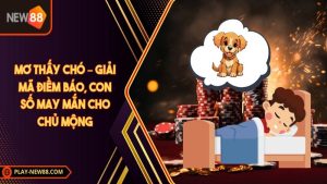 Mơ thấy chó – Giải mã điềm báo, con số may mắn cho chủ mộng