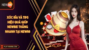 Xóc đĩa và tips hiệu quả giúp newbie thắng nhanh tại New88